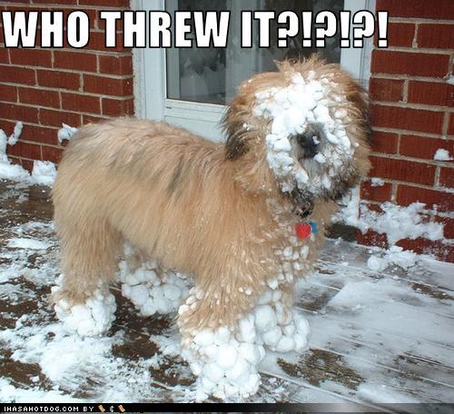 who-threw-it