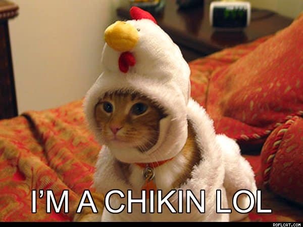 im-a-chikin-lol