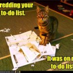 funny-pictures-shredding-your-to-do-list1