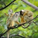 Dieses Bild dient der Auflockerung des Inhalts © Anna Kucherova / Shutterstock.com