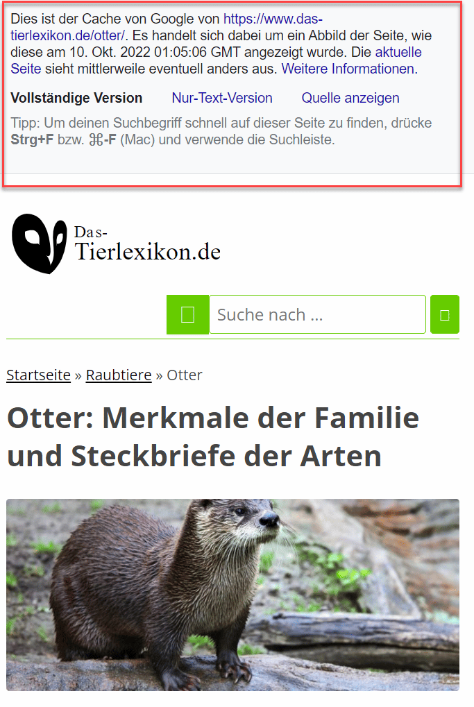 Noarchive Das SEO Tag Einfach Erkl rt Seokratie