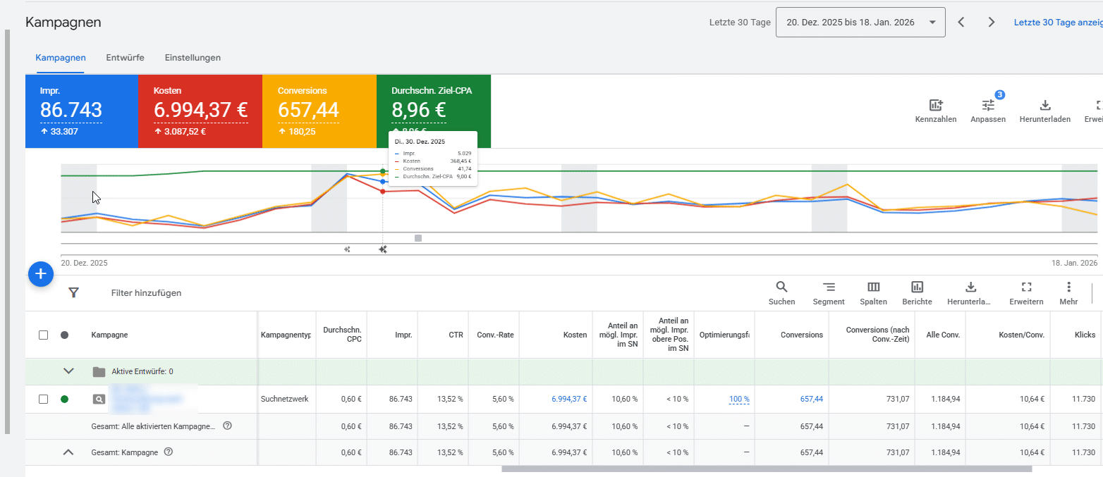 Google Ads-Kampagnenbericht mit Kennzahlen zu Impressionen, Kosten, Conversions, Ziel-CPA sowie zeitlichem Performance-Verlauf im Suchnetzwerk.