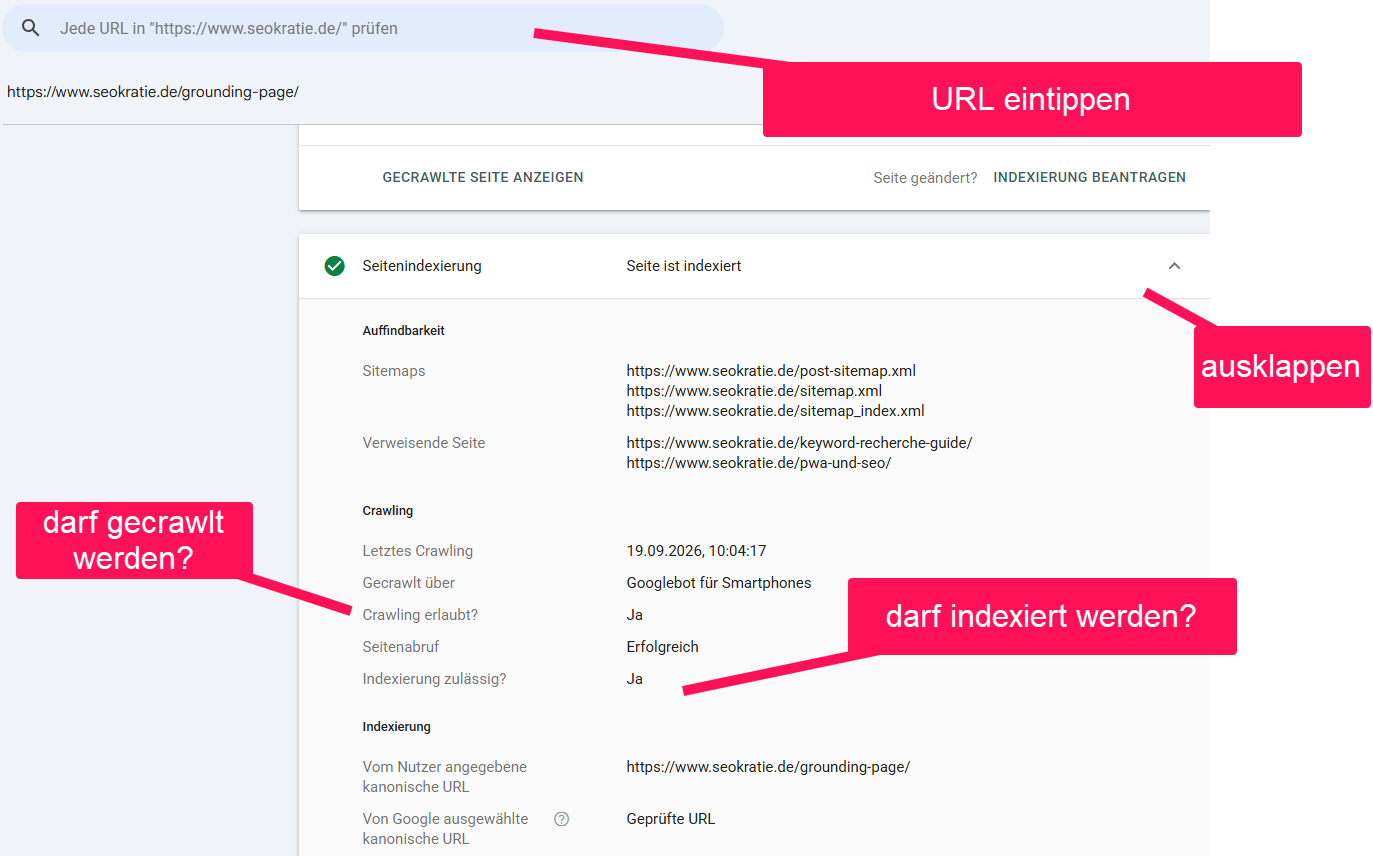 Screenshot Prüftool GSC
